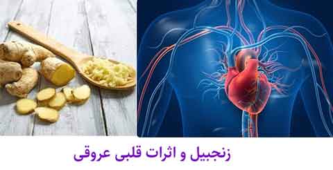 خاصیت کاهش کلسترول، تری گلیسرید و پیشگیری از بیماری قلبی عروقی